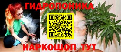 хмурый Канаш