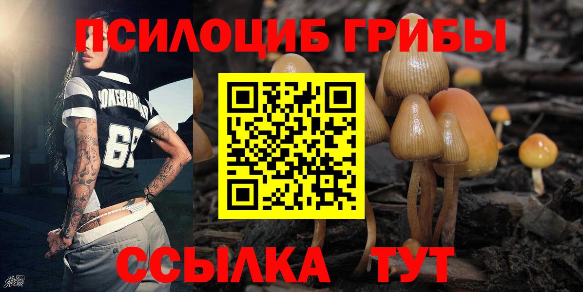 Псилоцибиновые грибы Psilocybe  Галлюциногенные грибы мухоморы  Ленинск-Кузнецкий  Вход с VPN 