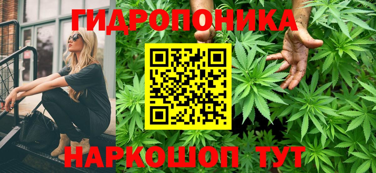 Конопля гибрид  Вход с VPN  Бошки марихуана THC 21%  Ленинск-Кузнецкий 
